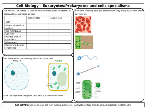 AQA 4.1 Cell Biology Revision Mats