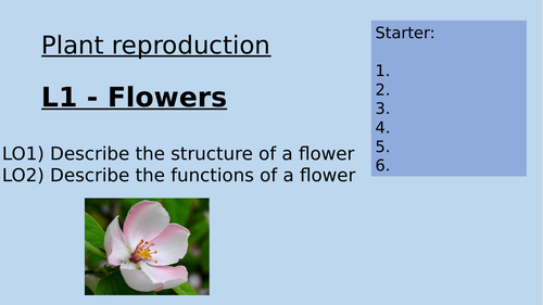 KS3 Plant Reproduction Lessons