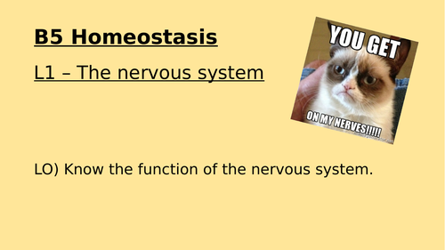 9-1 AQA B5 Homeostasis