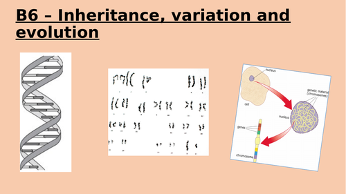 9 1 Aqa B6 Inheritance Variation Evolution Teaching Resources