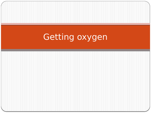 How is oxygen transported from the lungs to different parts of your body?