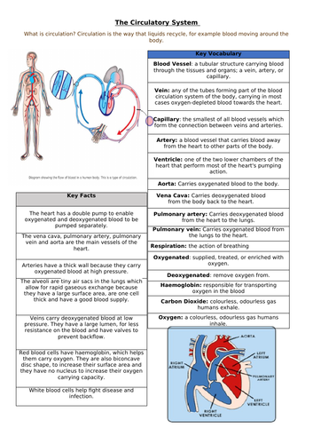 Circulation Year 6 Knowledge Organiser