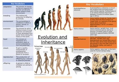 Evolution and inheritance Knowledge Organiser