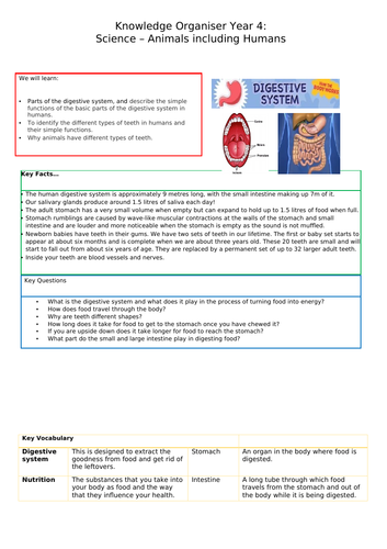 Digestion Knowledge Organiser Year 4