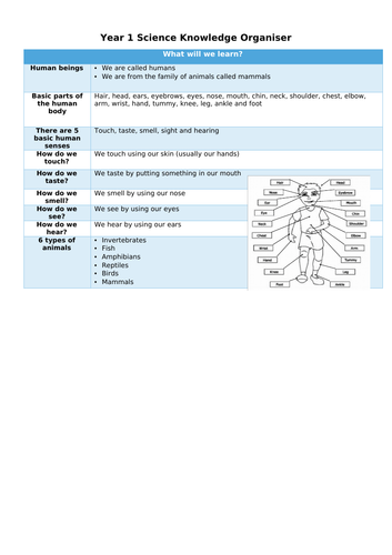 Animals Including Humans Knowledge Organiser and Vocabulary Sheet