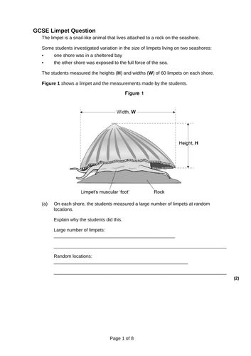 A LEVEL BIOLOGY - ENVIRONMENT, ENERGY AND POPULATIONS (ECOLOGY)  REVISION BUNDLE