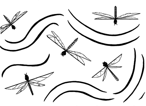 Beautiful Dragonflies Picture-Poem Sheet for Expressive Writing