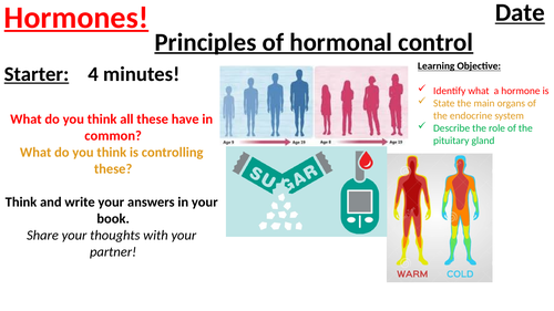 B11.1 Hormone co-ordination foundation