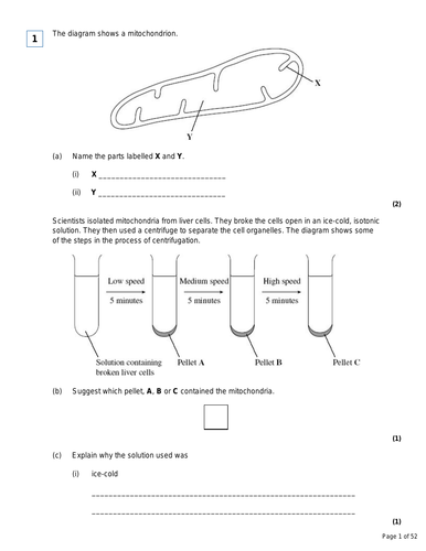AQA A'Level Cell structure exam question bundle