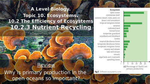 Nutrient Recycling (Carbon & Nitrogen Cycles)