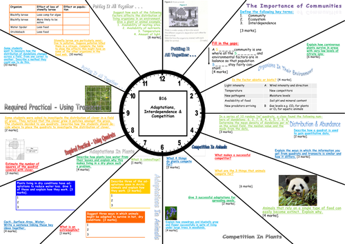 AQA GCSE Biology B16 Adaptations, Interdependence & Competition Revision Clock
