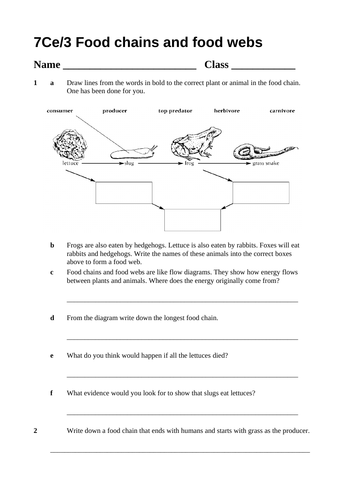 Food chains and food webs