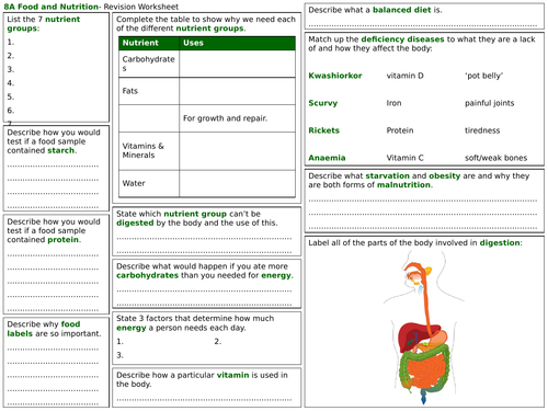 exploring science 8a revision worksheet food and nutrition teaching resources