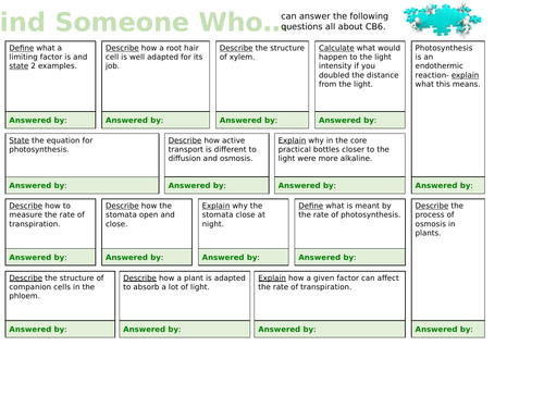 Edexcel CB6 'Find Someone Who...' Revision Activity