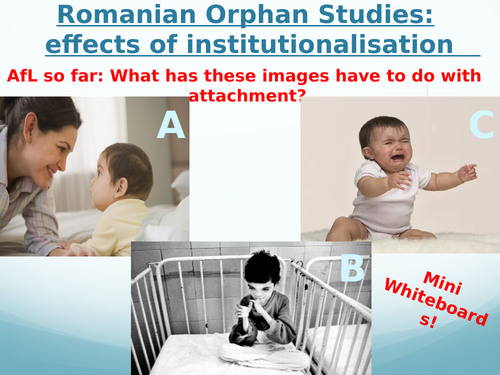 Romanian Studies