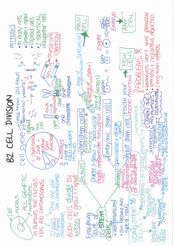 B2 Cell Division revision ONE PAGE SUMMARY AQA GCSE Biology 9-1 ...