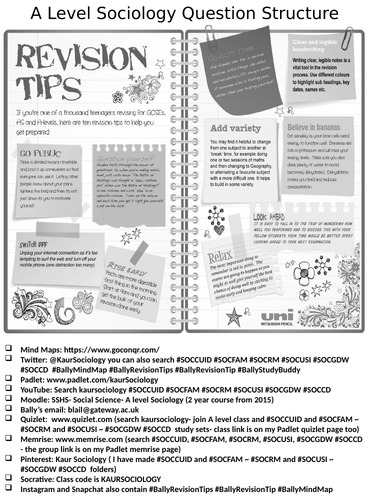 Sociology essay example image