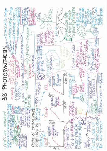 B8 Photosynthesis ONE PAGE REVISION SUMMARY AQA GCSE Biology 9-1