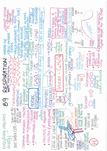B9 Respiration ONE PAGE REVISION SUMMARY AQA GCSE Biology 9-1 ...
