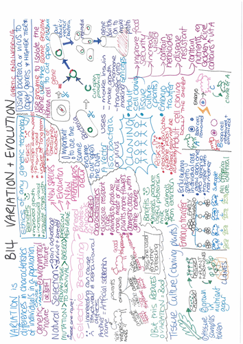 B14 Variation and Evolution ONE PAGE REVISION SUMMARY AQA GCSE Biology ...