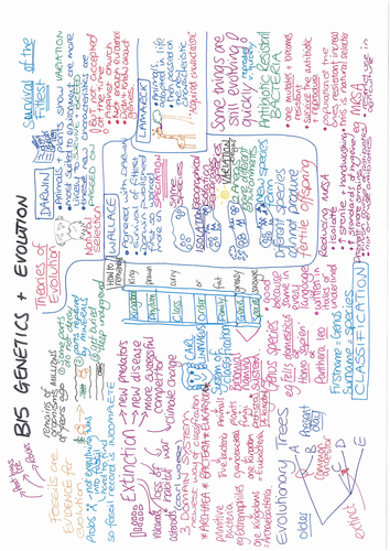 B15 Genetics and Evolution ONE PAGE REVISION SUMMARY AQA GCSE Biology 9 ...