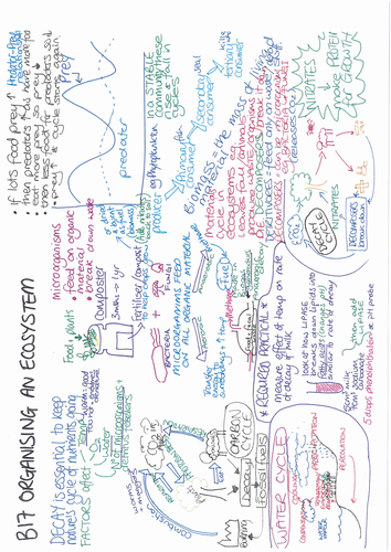 B17 Organising an Ecosystem ONE PAGE REVISION SUMMARY AQA GCSE Biology ...