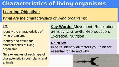Cie Igcse Unit Classification Characteristics Of Living Things Teaching Resources