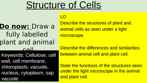 CIE IGCSE Unit: Organisation of the Organism