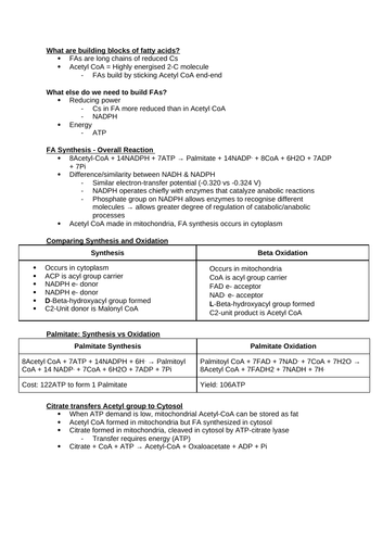 Fatty Acid & Lipid Synthesis