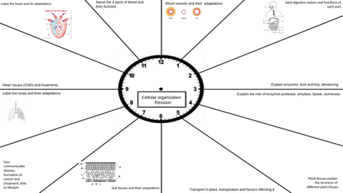 Revision clocks for AQA biology 9 to 1 2018