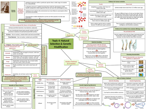 GCSE Biology Revision Topic 4 - Topic to a Page