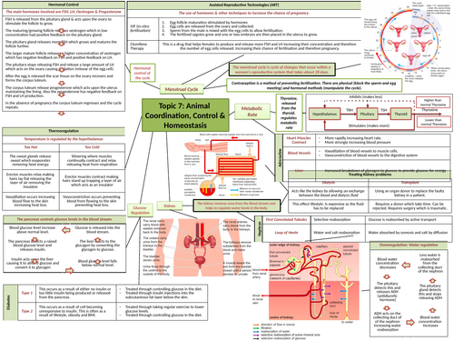 GCSE Biology Revision Topic 7 - Topic to a Page