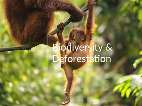 Biodiversity & Deforestation