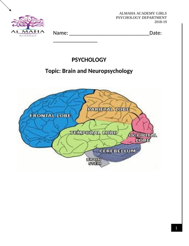 Psychology Edexcel (9-1) revision pack: Brain and Neuropsychology