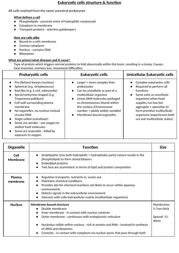 Eukaryotic cells structure and function