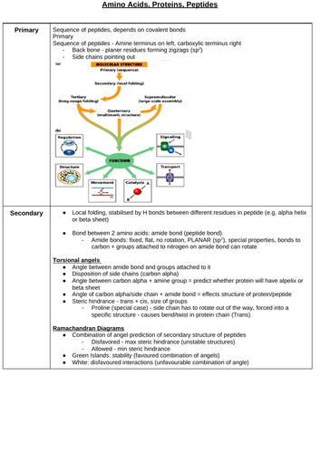 Amino-acids, proteins, peptides