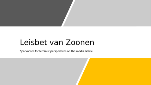 van zoonen feminist perspectives summary lesson media