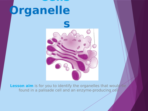 Organelles