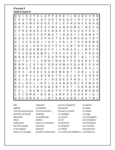 D'accord 2 Unité 5 Leçon A Wordsearch