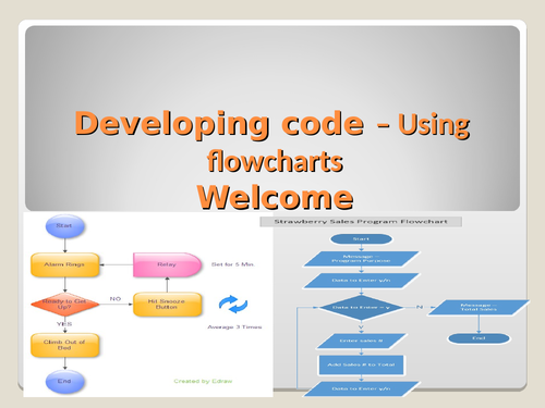 Developing code using flowcharts