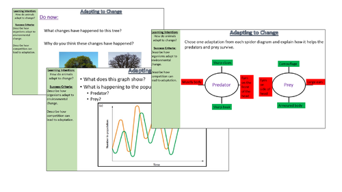 Adapting to Change Activate B2.3.2