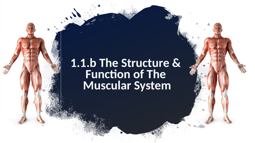OCR GCSE PE Topic 1.1.b Powerpoint Presentation