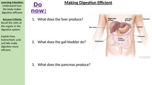 Making digestion efficient AQA B3.7