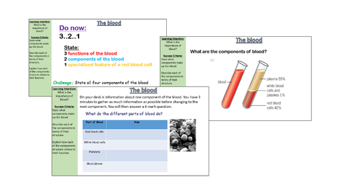 The blood QAQ B4.1 | Teaching Resources