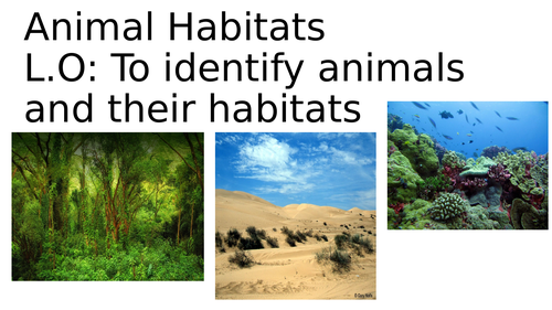 Animal Habitats KS1