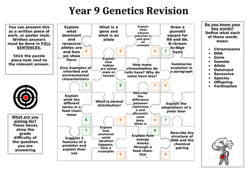 Genetics Revision puzzle
