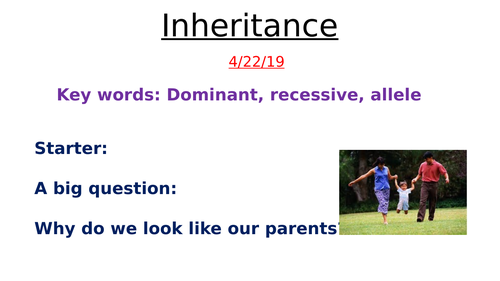 Inheritance- GCSE Foundation