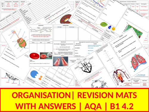 B1 Revision Mats | 4.2 Organisation | AQA | With Answers