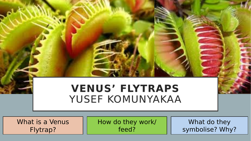 Venus Flytraps Yusef Komunyakaa