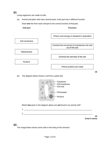 9-1 AQA GCSE Biology - U1 L3 Specialised Cells